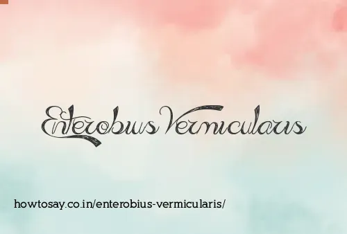 Enterobius Vermicularis
