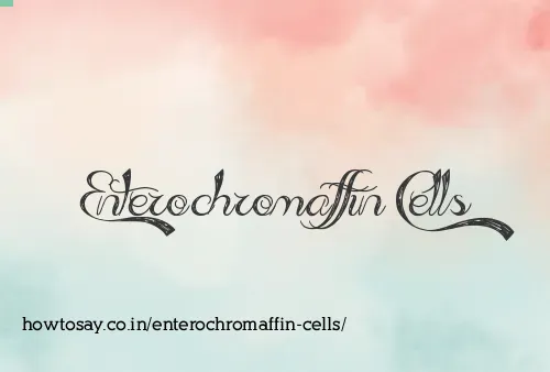 Enterochromaffin Cells