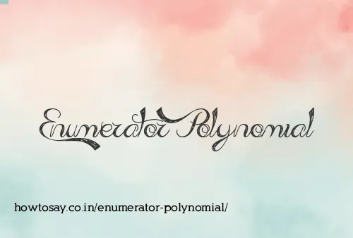 Enumerator Polynomial