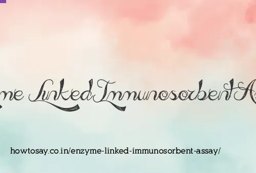 Enzyme Linked Immunosorbent Assay