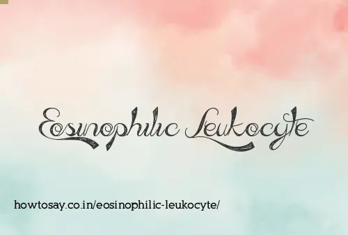Eosinophilic Leukocyte