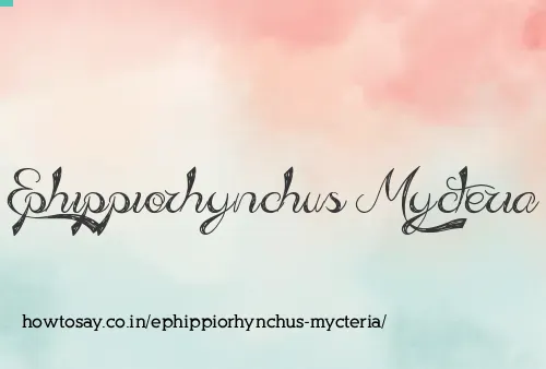 Ephippiorhynchus Mycteria