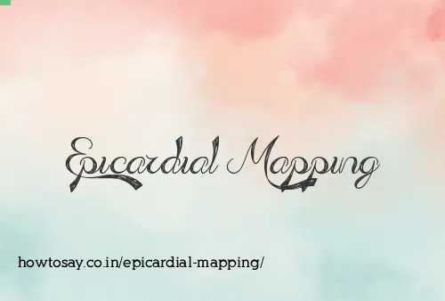 Epicardial Mapping