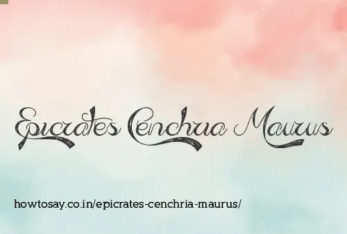 Epicrates Cenchria Maurus