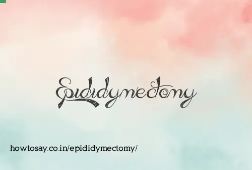 Epididymectomy