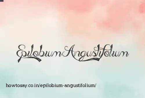 Epilobium Angustifolium