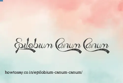 Epilobium Canum Canum