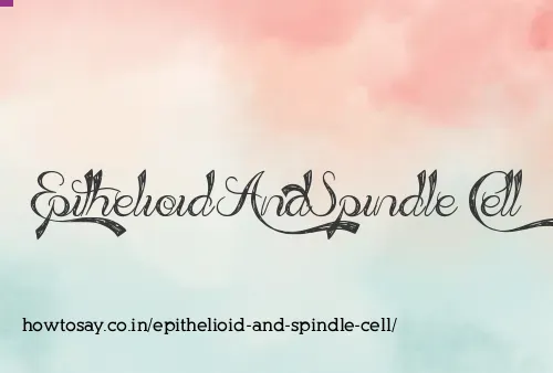 Epithelioid And Spindle Cell