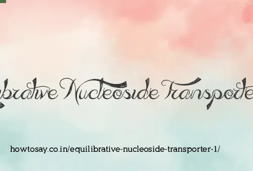 Equilibrative Nucleoside Transporter 1