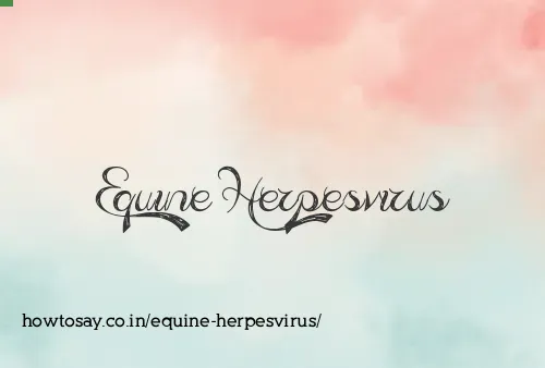 Equine Herpesvirus
