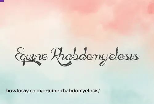 Equine Rhabdomyelosis