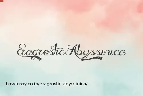 Eragrostic Abyssinica