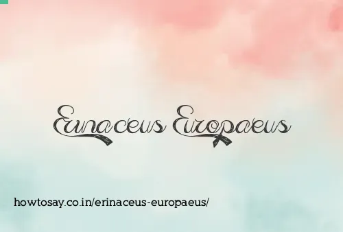 Erinaceus Europaeus