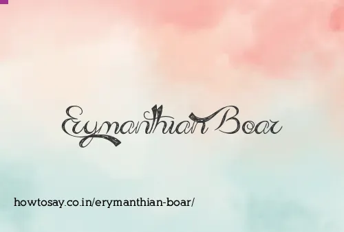 Erymanthian Boar
