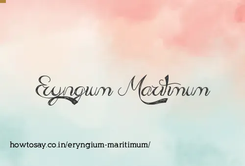 Eryngium Maritimum