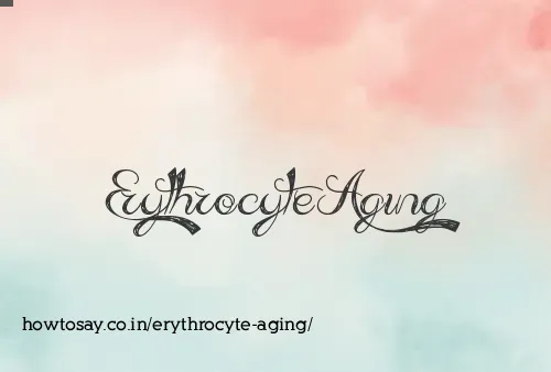 Erythrocyte Aging