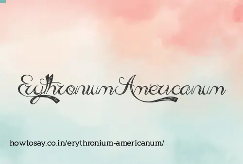Erythronium Americanum