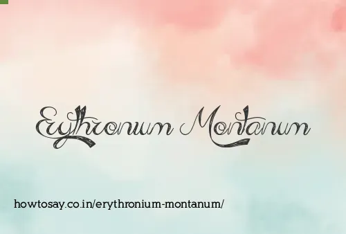 Erythronium Montanum