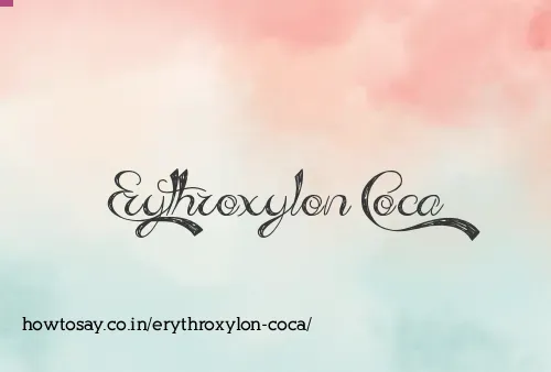 Erythroxylon Coca