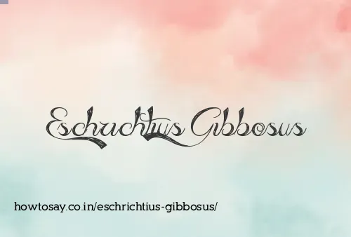 Eschrichtius Gibbosus