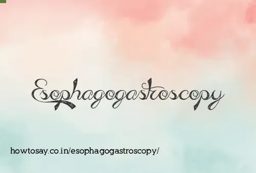 Esophagogastroscopy