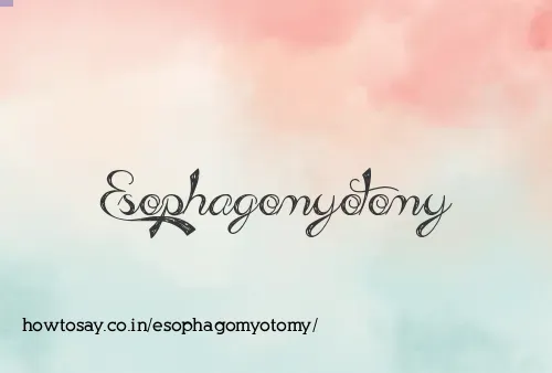 Esophagomyotomy