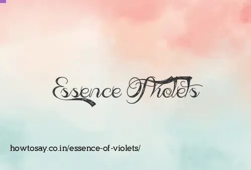 Essence Of Violets