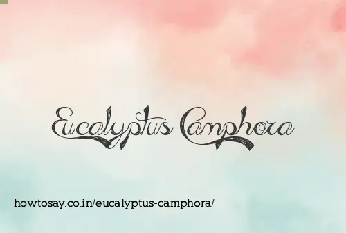 Eucalyptus Camphora