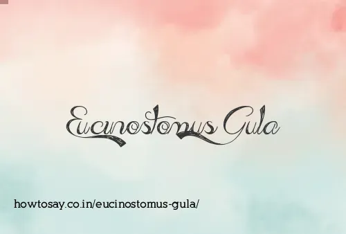 Eucinostomus Gula