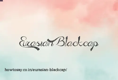 Eurasian Blackcap