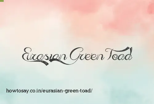 Eurasian Green Toad