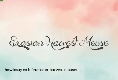 Eurasian Harvest Mouse