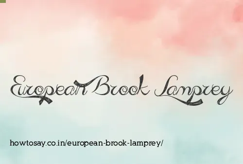 European Brook Lamprey