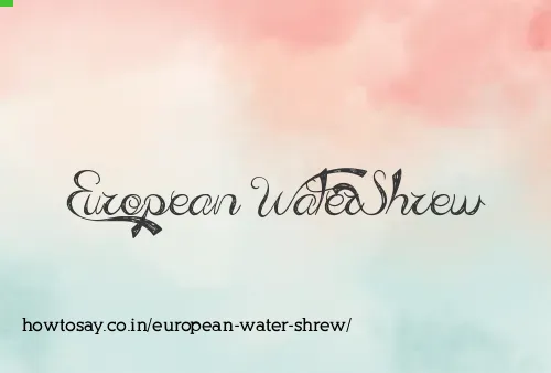 European Water Shrew