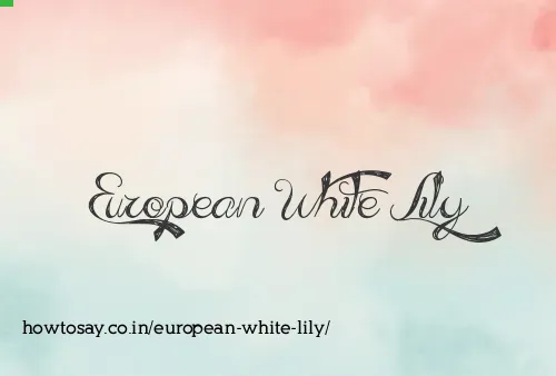 European White Lily