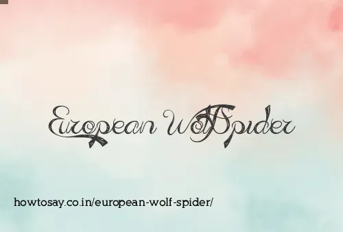European Wolf Spider