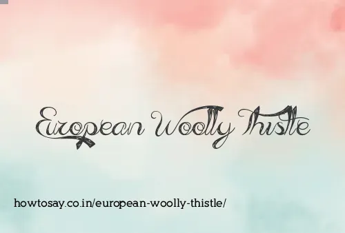 European Woolly Thistle