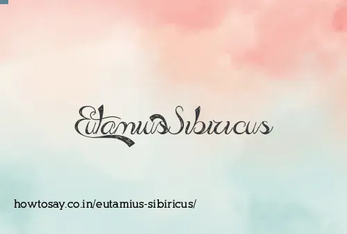 Eutamius Sibiricus
