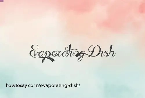Evaporating Dish
