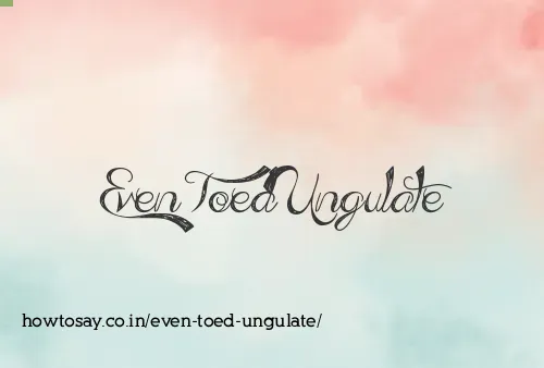 Even Toed Ungulate