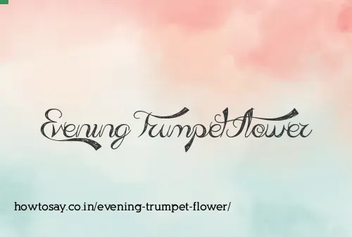 Evening Trumpet Flower