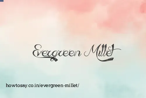 Evergreen Millet