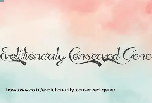 Evolutionarily Conserved Gene