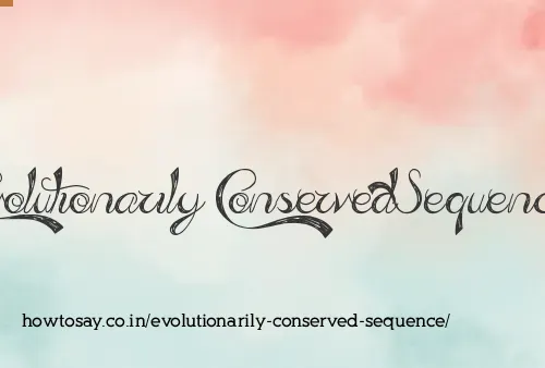 Evolutionarily Conserved Sequence