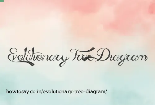 Evolutionary Tree Diagram