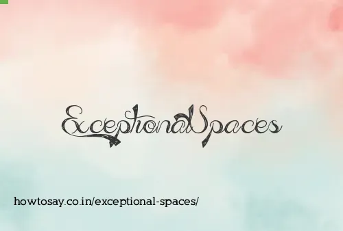 Exceptional Spaces