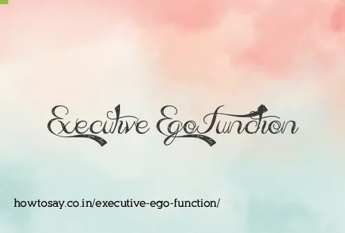 Executive Ego Function