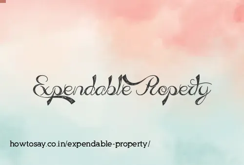 Expendable Property
