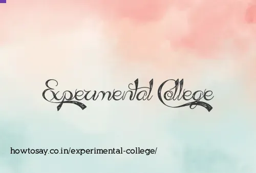 Experimental College