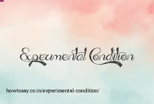 Experimental Condition